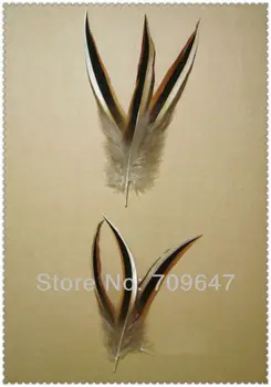 Перья для одежды! 100 шт./лот, 9-13 см, натуральные трехцветные перья утки кряквы, наконечники из перьев селезня